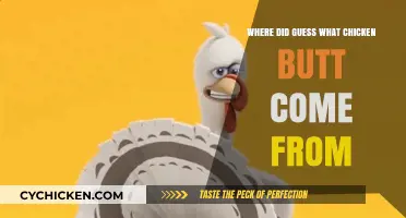 Unraveling the Mystery: The Origins of 'Guess What Chicken Butt
