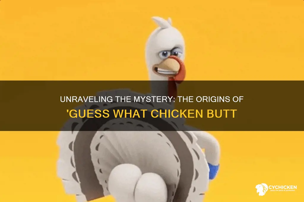 where did guess what chicken butt come from