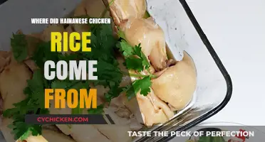 The Origins of Hainanese Chicken Rice: A Culinary Journey