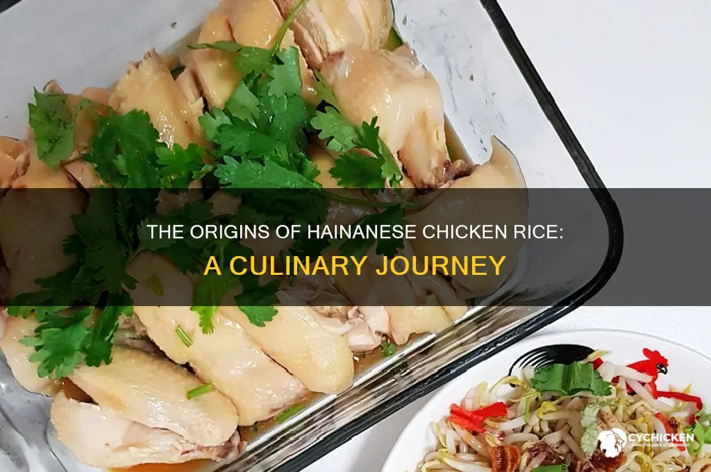 where did hainanese chicken rice come from
