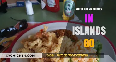Missing Chicken Mystery: Unraveling the Disappearance in the Islands