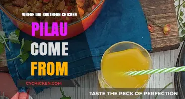 Tracing the Origins of Southern Chicken Pilau: A Culinary Journey