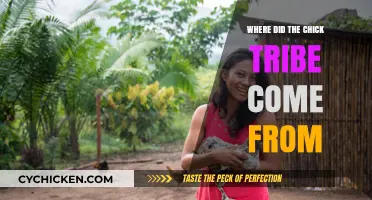 Unveiling the Origins of the Chick Tribe: A Historical Journey