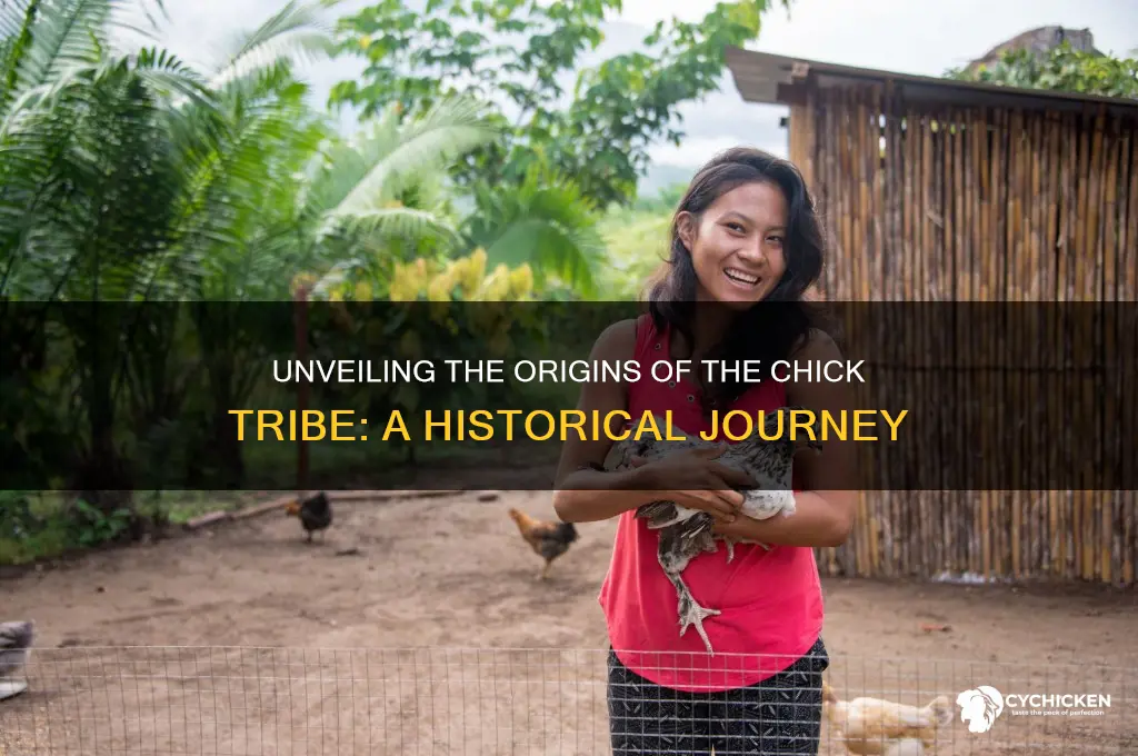 where did the chick tribe come from