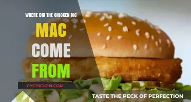 The Surprising Origins of McDonald's Chicken Big Mac Revealed