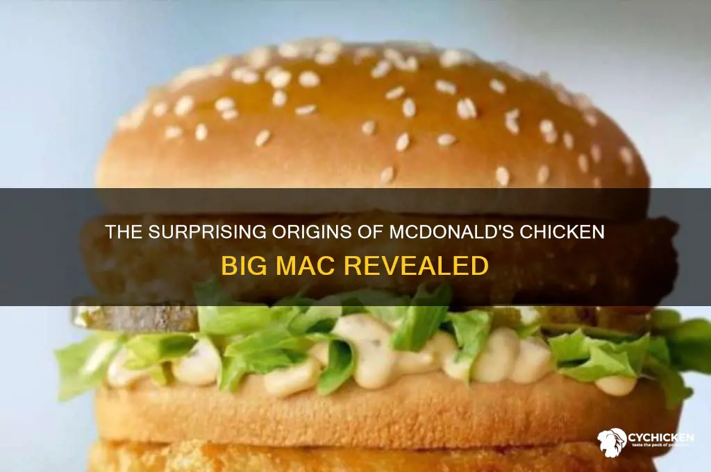 where did the chicken big mac come from