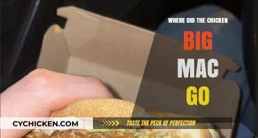 The Disappearance of the Chicken Big Mac: What Happened?