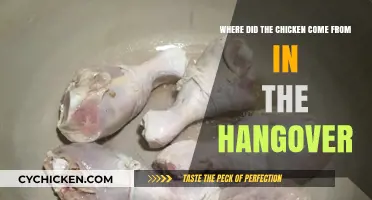 The Mystery of the Chicken's Origin in The Hangover