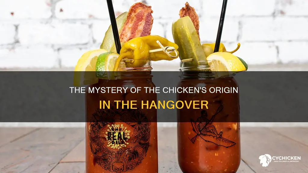 where did the chicken come from in the hangover