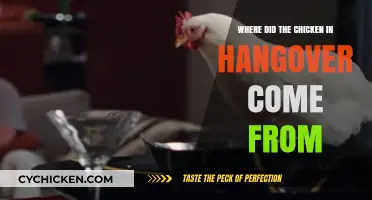The Mystery of the Hangover Chicken's Unexpected Origin Story
