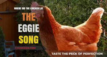 Where Did the Chicken Lay the Eggie Song: Origins and Fun Facts