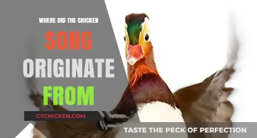 The Surprising Origins of the Iconic Chicken Song Revealed