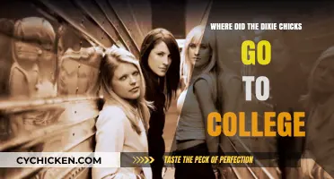 The Dixie Chicks' Educational Journey: Colleges and Early Careers