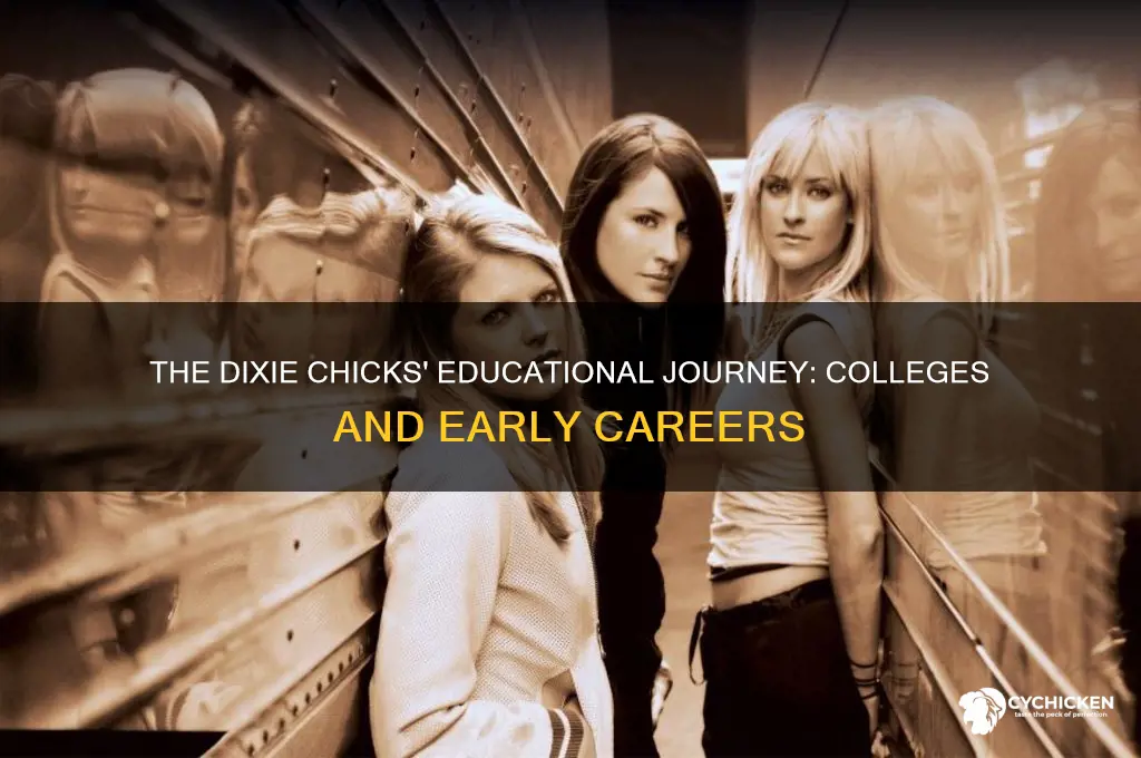 where did the dixie chicks go to college