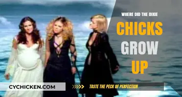 The Dixie Chicks' Roots: Where Did the Trio Grow Up?