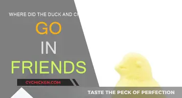 The Mystery of the Disappearing Duck and Chick
