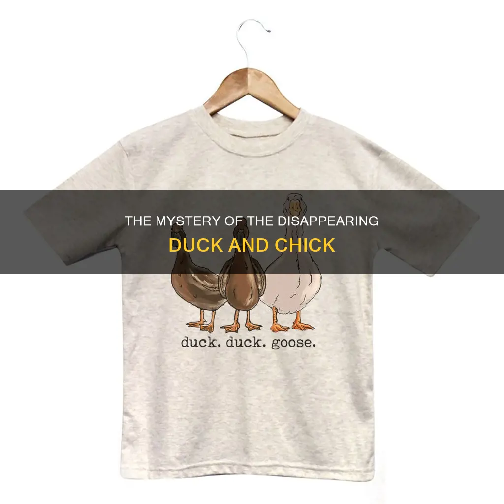 where did the duck and chick go in friends