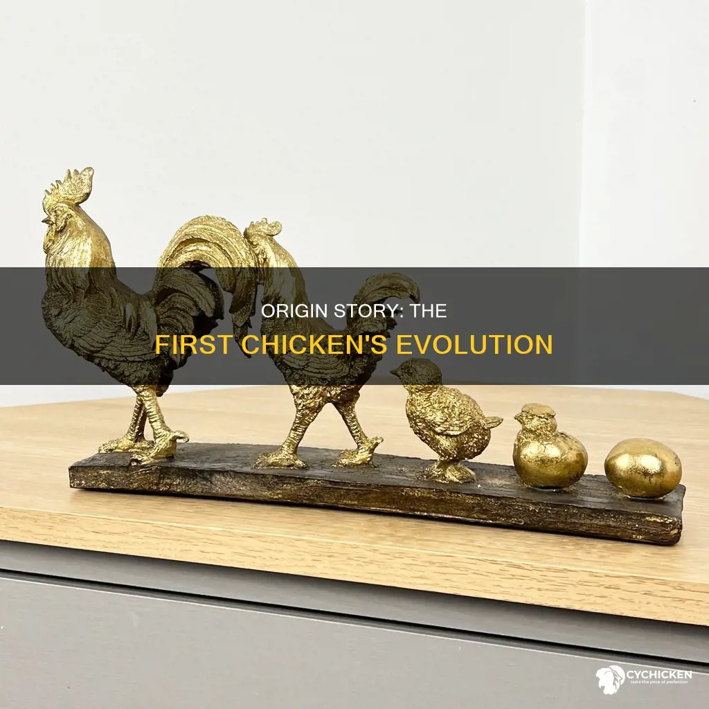 where did the first chicken in existence come from