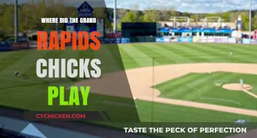 Where Did the Grand Rapids Chicks Play? Uncovering Their Historic Ballpark