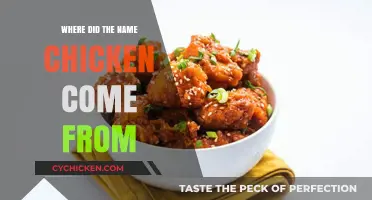The Surprising Origins of the Name 'Chicken': A Historical Journey