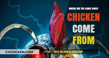 Unveiling the Quirky Origins of Robot Chicken's Iconic Name