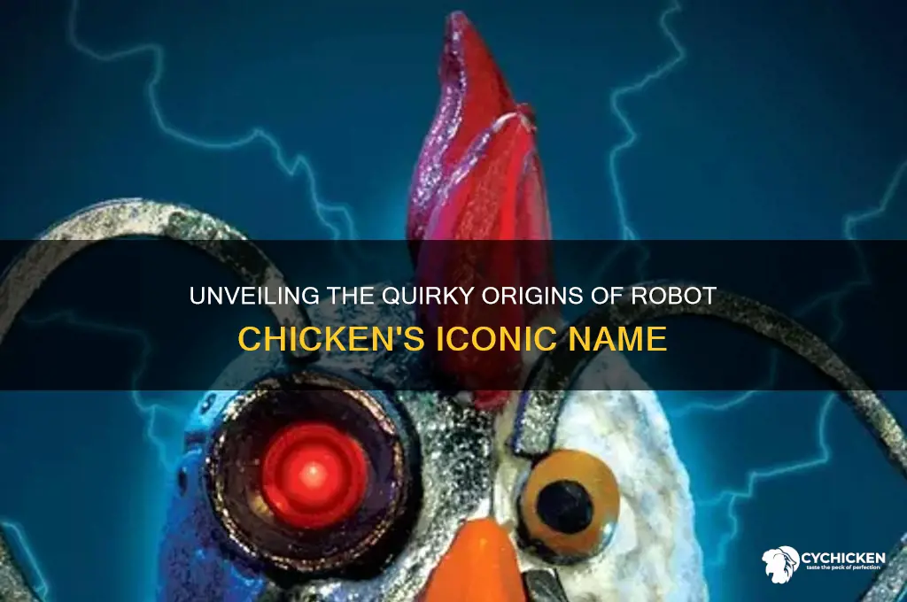 where did the name robot chicken come from