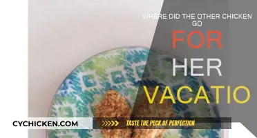 Exploring Chickens' Vacation Spots: Where Do They Go?