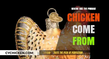Unraveling the Origins: Where Did the Phrase 'Chicken' Come From?