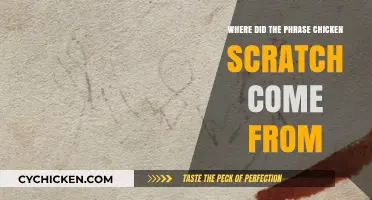 Unraveling the Origins of the Phrase 'Chicken Scratch