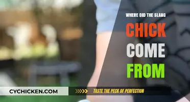 The Surprising Origins of 'Chick': A Slang History Uncovered