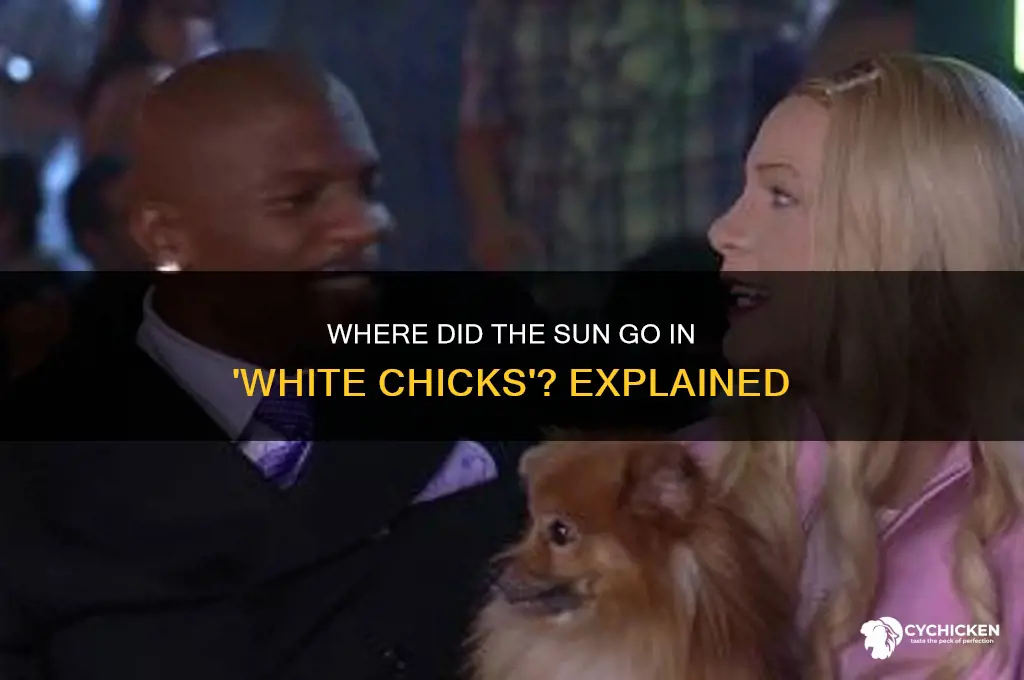 where did the sun go white chicks