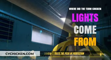 The Surprising Origin Story of Chicken Lights Explained