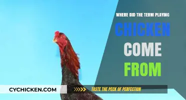 The Origins of 'Playing Chicken': Unraveling the Phrase's Daring History