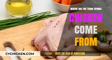 Unraveling the Origins of the Term 'Spring Chicken