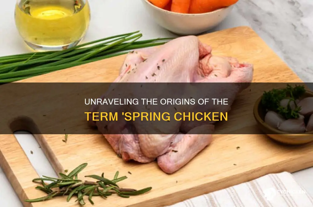 where did the term spring chicken come from