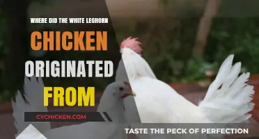 Uncovering the Italian Roots of the White Leghorn Chicken
