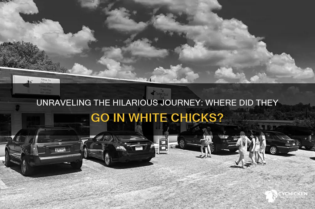 where did they go in white chicks