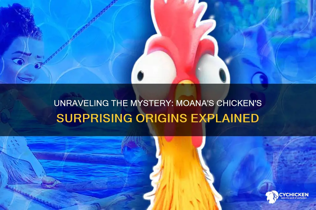 where did tje chicken in moana come from