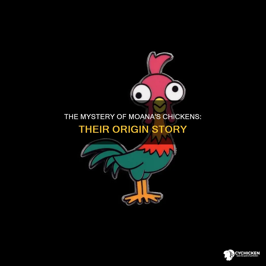 where did tje chicken in moana originate from come from