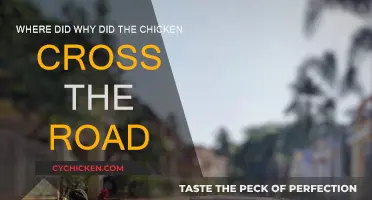 The Chicken Crossed the Road: A Riddle's History