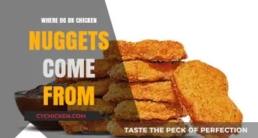 Unveiling the Origin: Where Do BK Chicken Nuggets Come From?