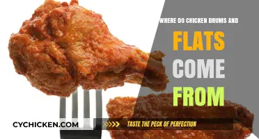 Unveiling the Origins of Chicken Drums and Flats: A Poultry Journey