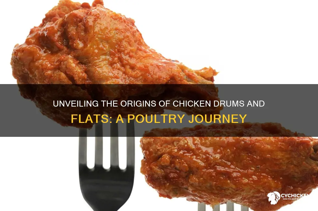 where do chicken drums and flats come from