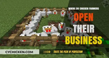Prime Locations for Chicken Farming: Where to Start Your Business