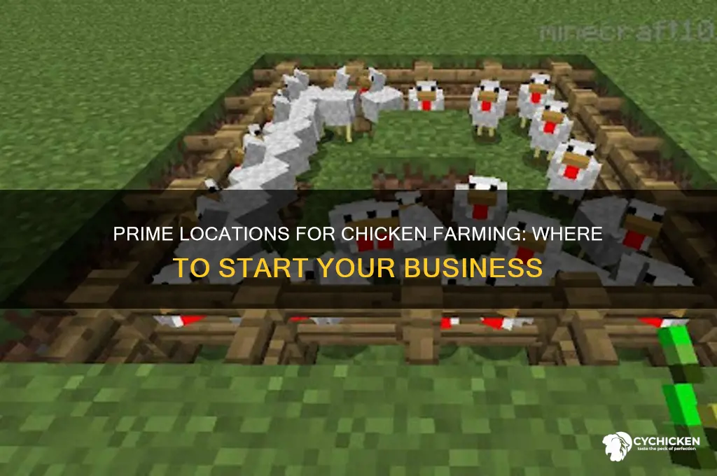 where do chicken farmers open their business