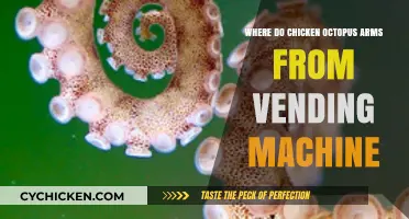 Vending Machine Octopus Arms: Unraveling the Chicken's Tentacled Mystery
