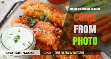 From Farm to Plate: The Surprising Origins of Chicken Tenders
