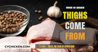 Uncovering the Origin: Where Chicken Thighs Come From Explained