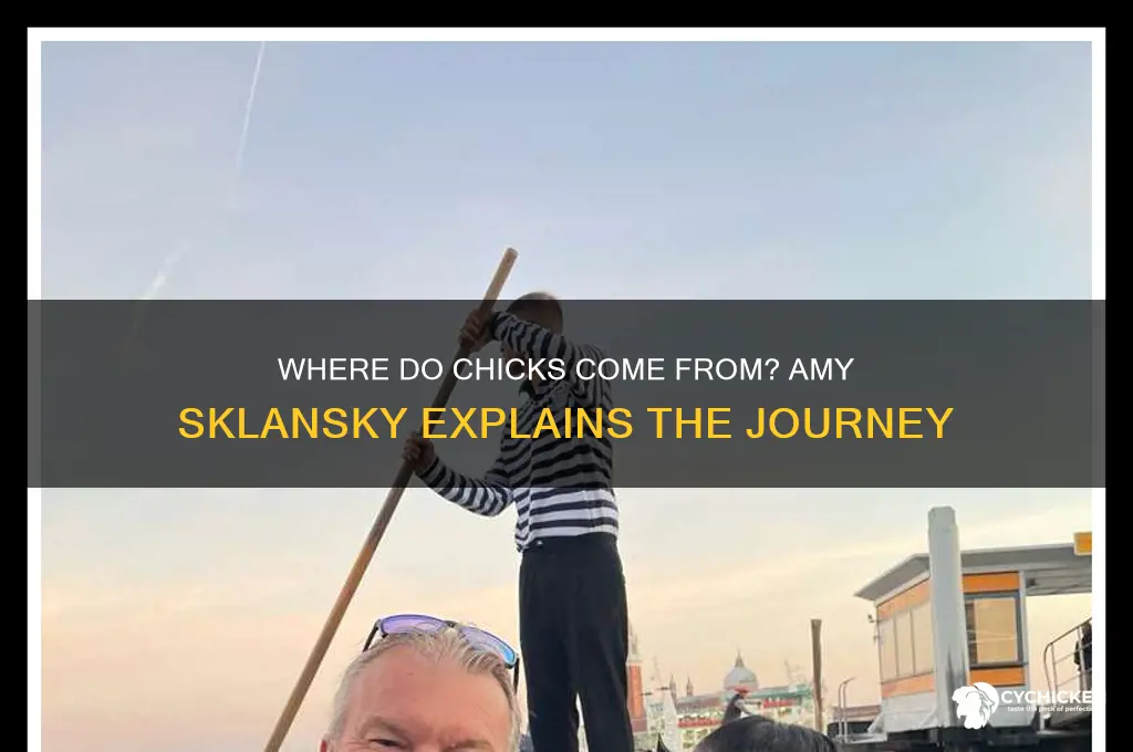 where do chicks come from amy sklansky