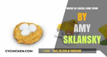 Where Do Chicks Come From? Amy Sklansky Explains Life Cycles
